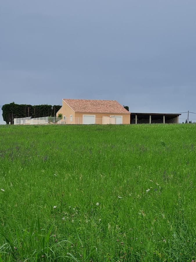 Paquerette * Arles